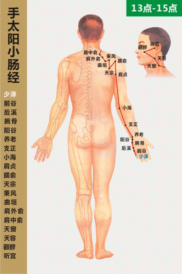 耳鸣耳聋,肩臂酸痛等衰老症状,在中医经络学中,手腕处有一个以专门