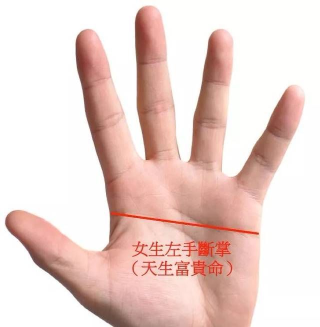 女人左手断掌,意味着掌财库丰厚,生来就有赚大钱的能力,头脑聪慧,比