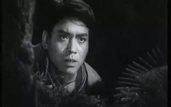 老电影:反特故事片《神秘的旅伴》一个无铃的马帮