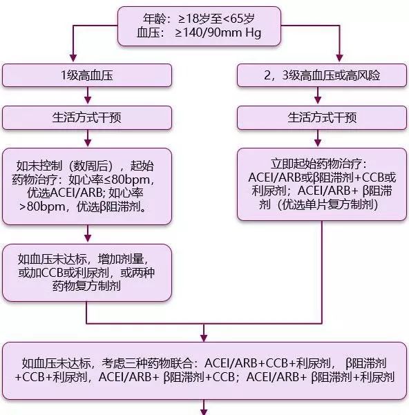 中青年高血压治疗流程图