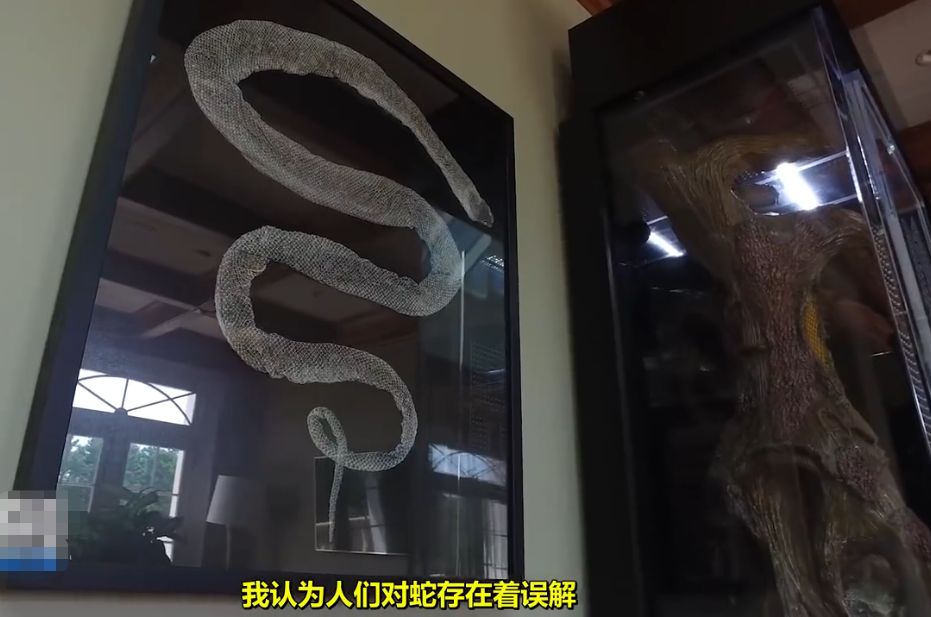 心疼霍华德别闹了你可能没见他3200平超级豪宅内有巨蟒