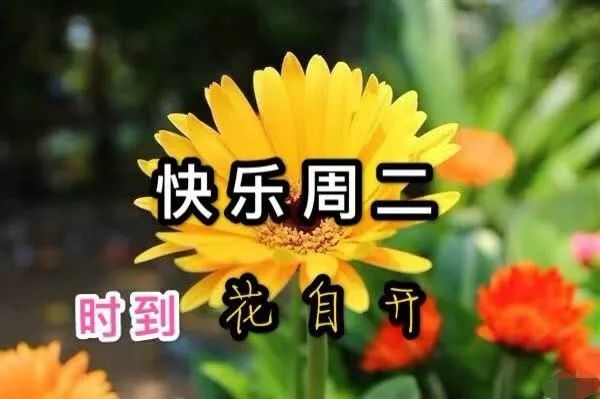 2021年12月7日早上好问候祝福动态表情图片最新早安问候语动态图片