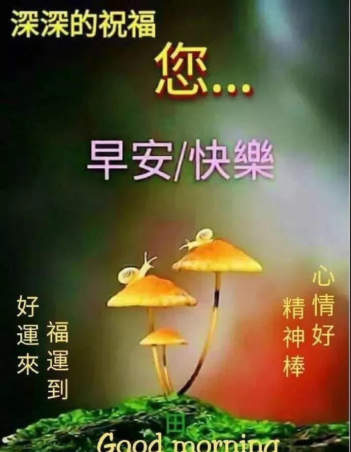 腊月二十九周四早上好问候祝福语动态图片 2020最新早晨好问候动态