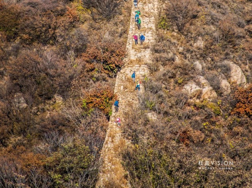 禅林寺银杏,马蹄峪长城