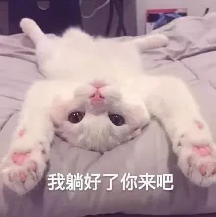 脱单表情包:撩你无底线!