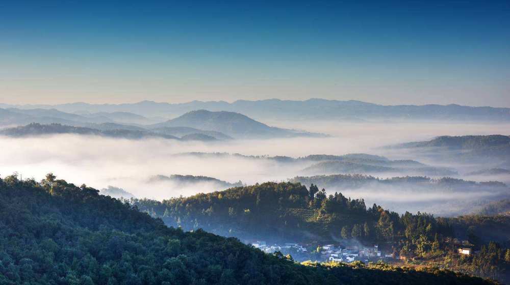 茶叶知识科普,云南古树茶第一山,魅力无穷的南糯山