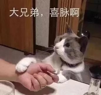 表情包丨我就是个受气包呗