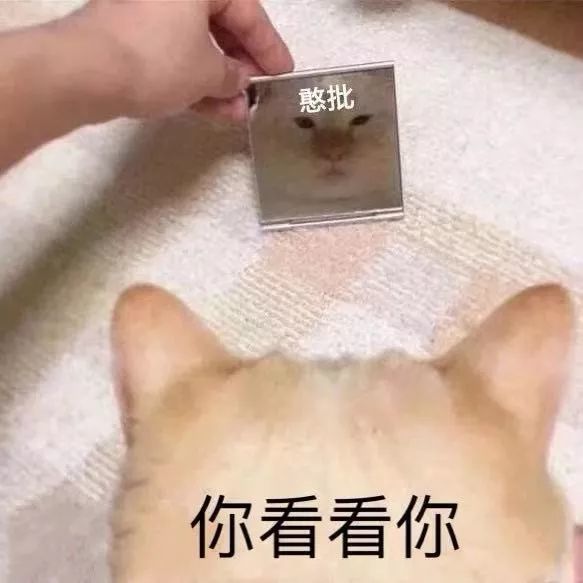 表情包丨我就是个受气包呗