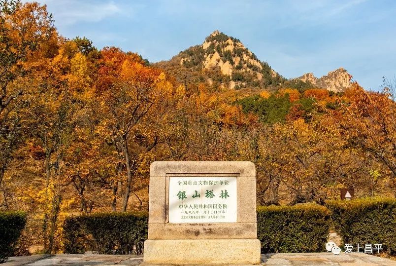 初冬时节昌平竟有这么多美景好玩地