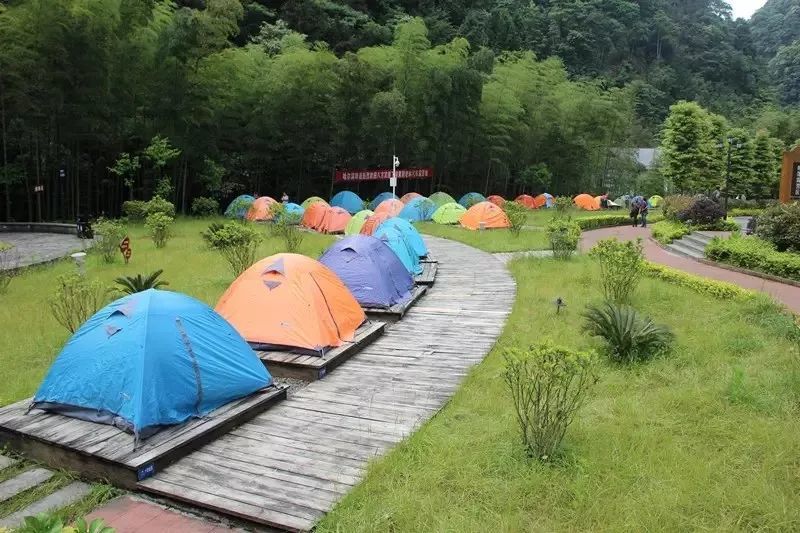 泸州旅游去这里:黄荆老林风景区
