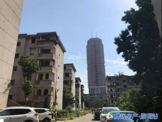 30多户业主自发聚集办理交房交证手续