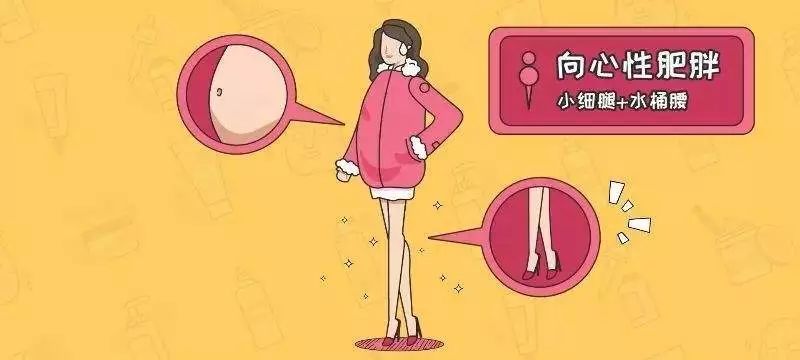 1.向心性肥胖