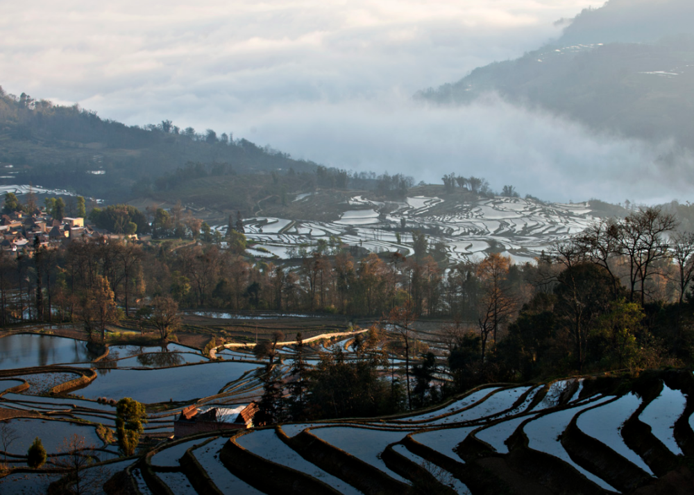 哈尼族民俗村坐落于半山腰,占地约5公顷,全村有150户人家,800多人.