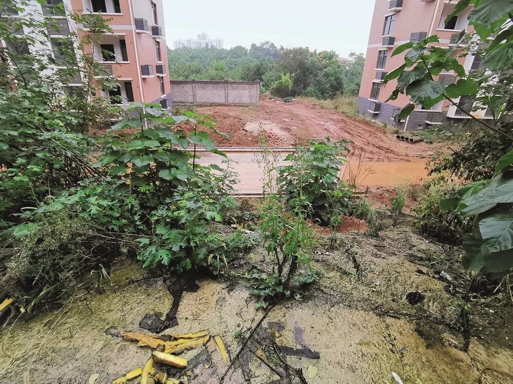 《环球人物》发长文回顾李尚平被当街枪杀案