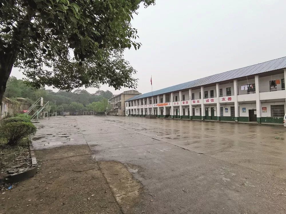 《环球人物》发长文回顾李尚平被当街枪杀案