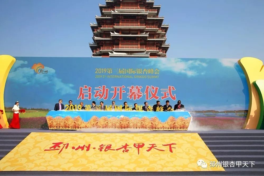 2020邳州各镇GDP_2020邳州一模