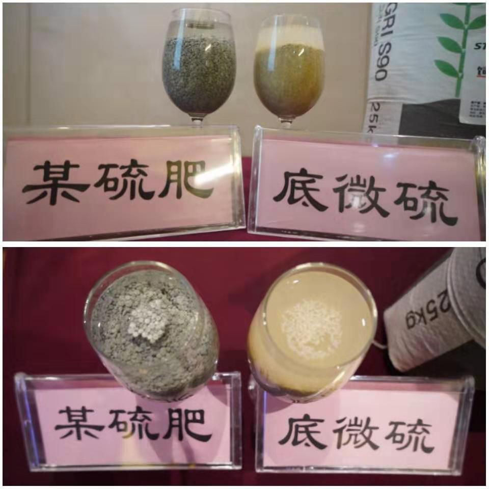 硫肥,会不会成为特肥下一个火爆品类?