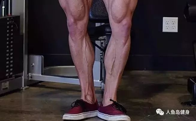 二,小腿肌肉群的介绍