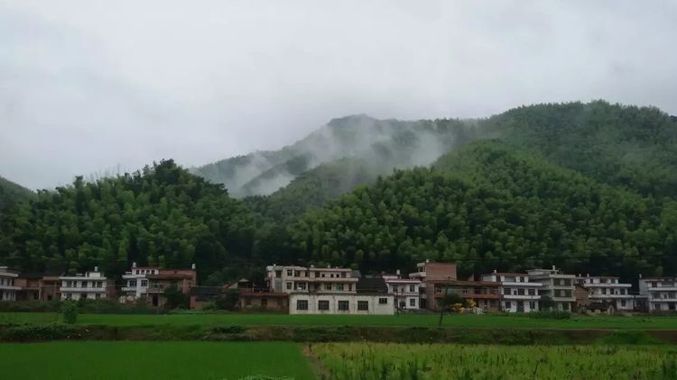 衡阳县:美丽金溪,好山好水有点田