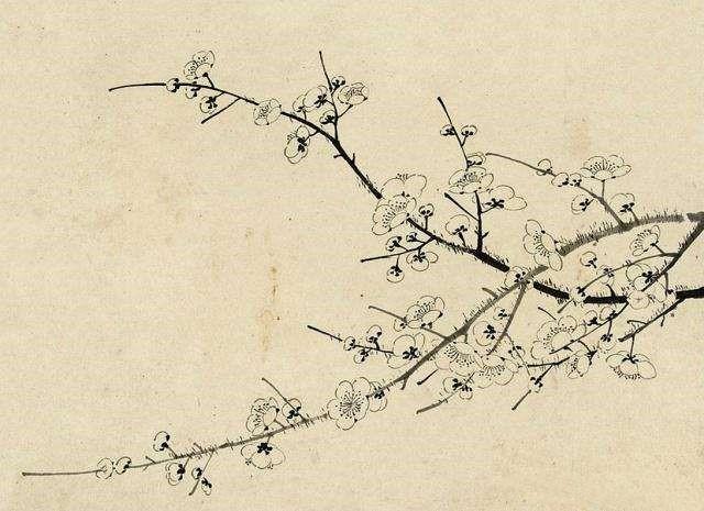 陆游最经典的一首梅花诗,结尾一句奇思妙想,痴狂尽显
