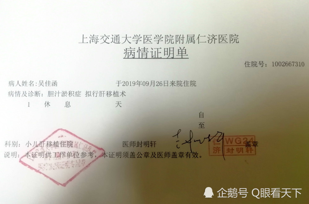 伟大的母亲简谱_伟大的母亲图片(3)