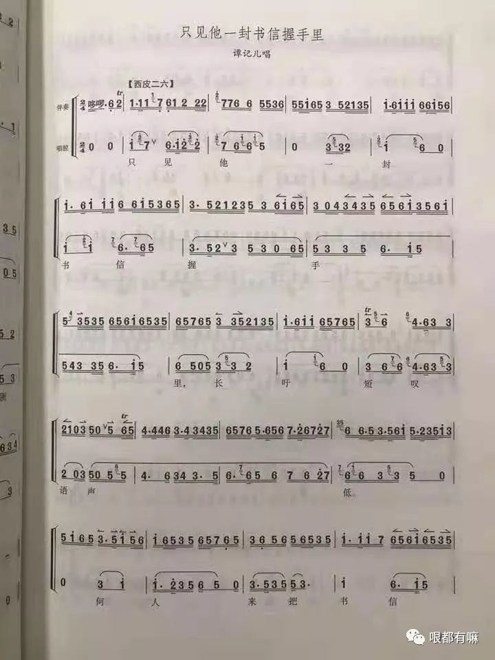 康有为在朝中忠心耿耿〔西皮流水〕 这奴才终日里胡言乱讲〔反二黄散