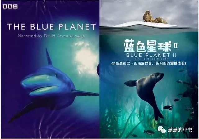 将上面提到的多部纪录片,包括《王朝》《地球脉动2》《蓝色星球》