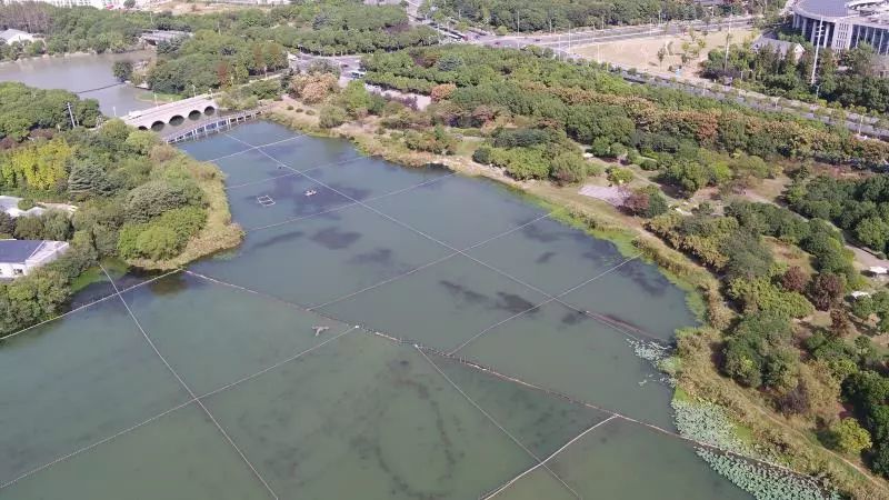 李秋宇副局长现场调研"十三五 水专项无锡项目