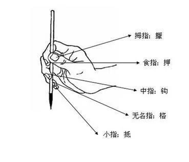 6,悬腕悬肘要苦练