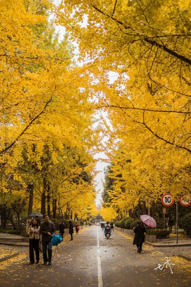 西安电子科技大学