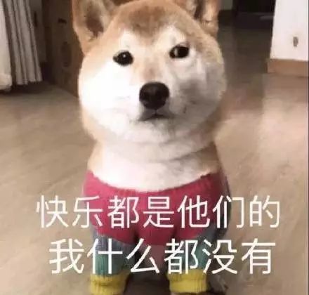 搞笑一组汪星人doge表情包,梦想的画面出现了