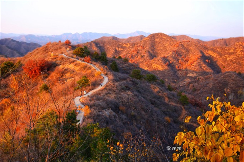 秋季赏枫,去看万里长城精华段金山岭