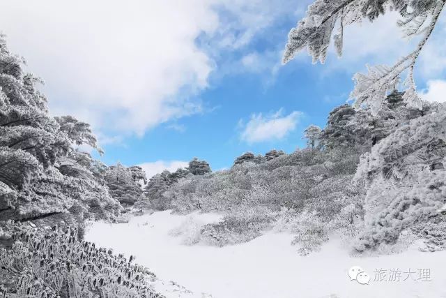 大理的苍山和鸡足山又下雪了最新雪景图出炉这个周末赏雪约起来