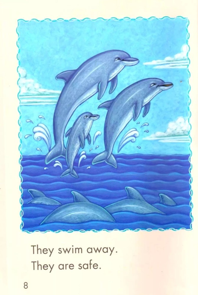 邦元英语:《a dolphin"s day》海豚的一天