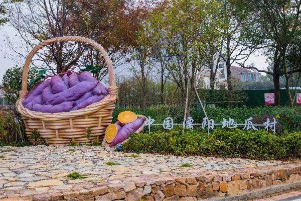 溧阳"1号公路"曹山段全景上线!十多个景点等你来