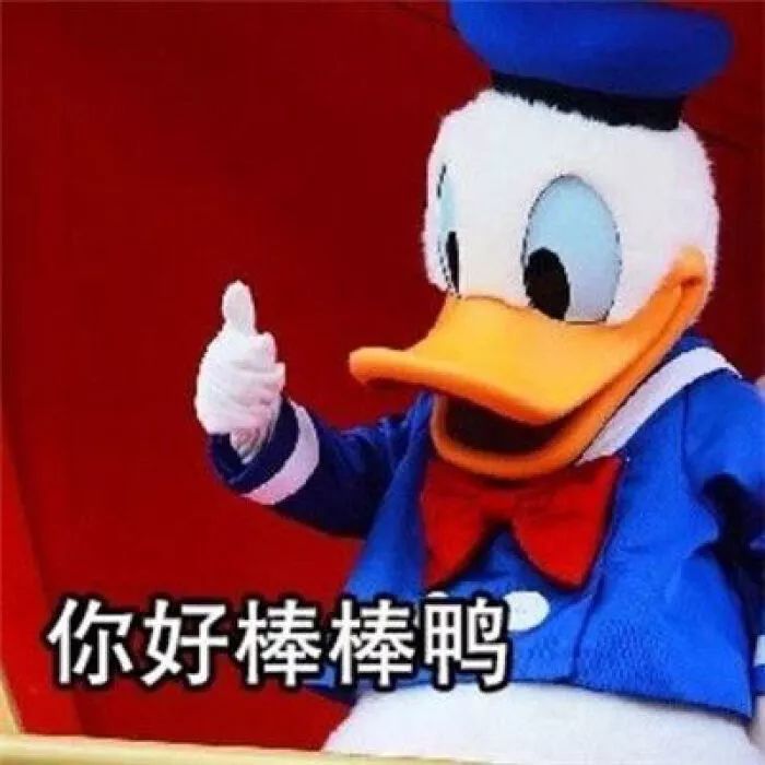 你好棒棒鸭