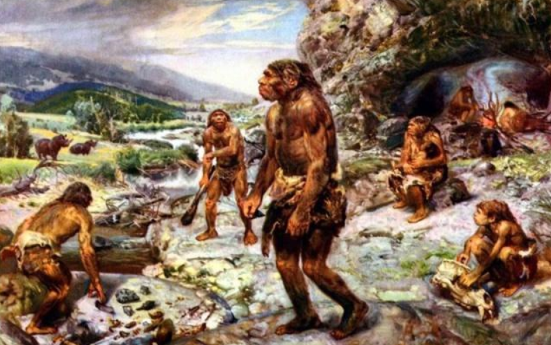 卷尾猴进入石器时代已经有3000年!它们会成为下一个人类吗?
