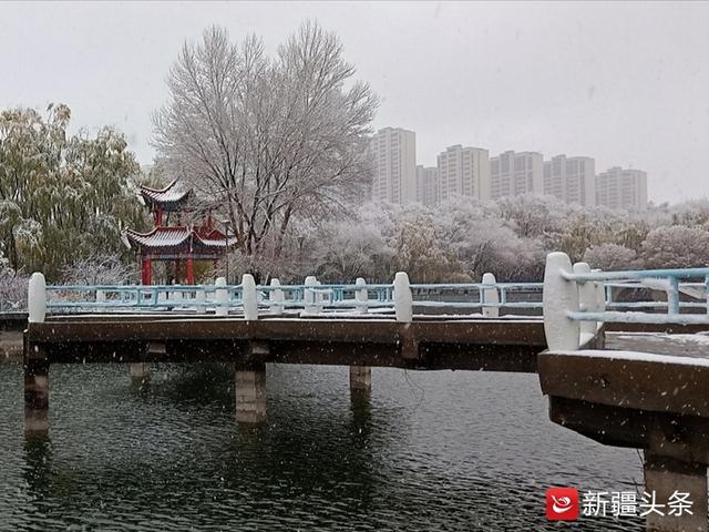 雪花落在新疆大学红湖水面