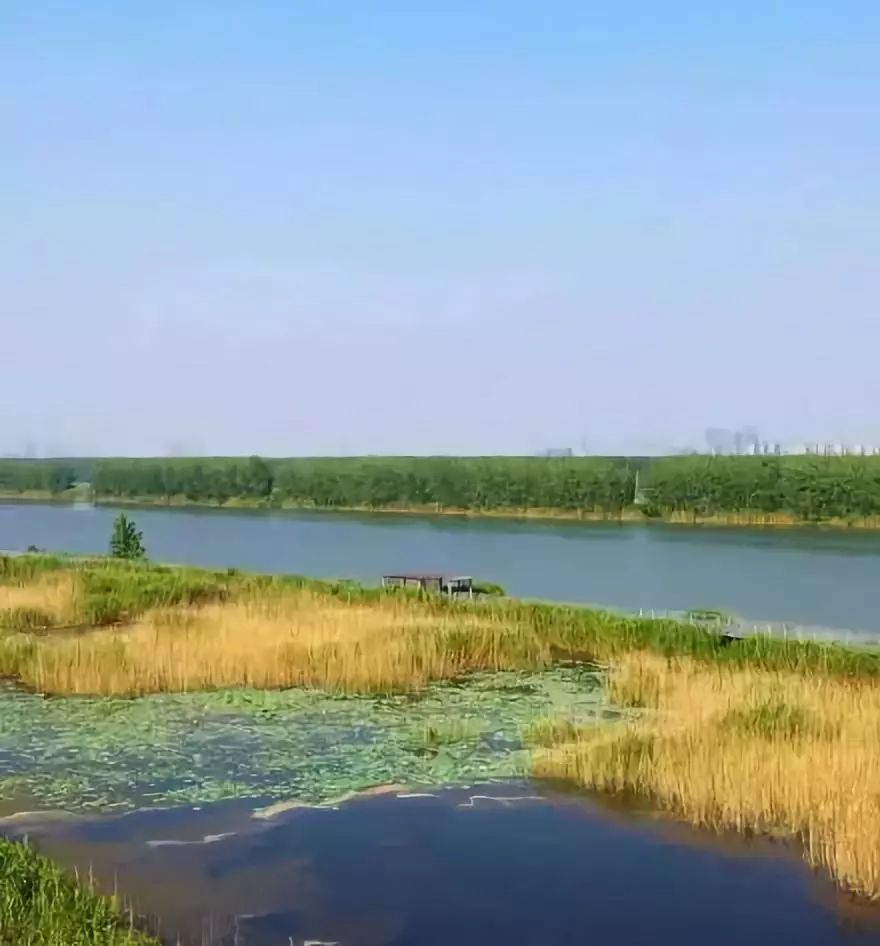 图源:浦口发布 在南京,若是想看水上秋景,那长江北岸的绿水湾湿地公园