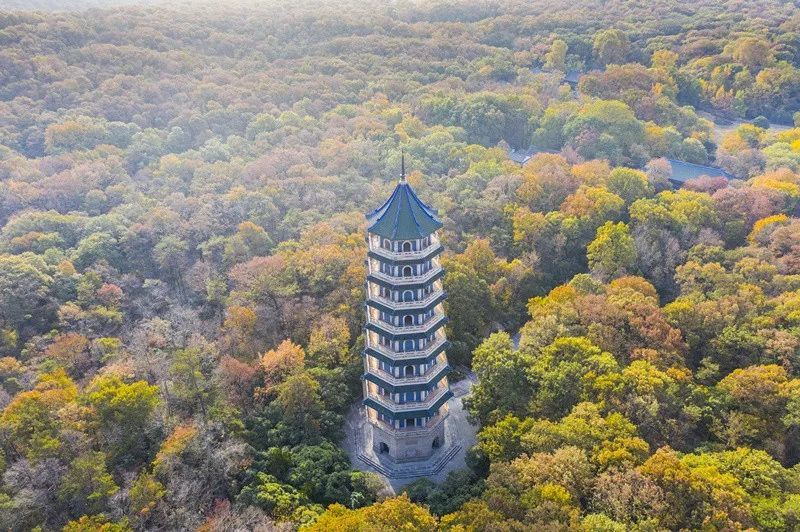 傅玉/摄 灵谷寺 灵谷寺的秋意,一定要爬到塔顶去看看,俯瞰山间斑斓