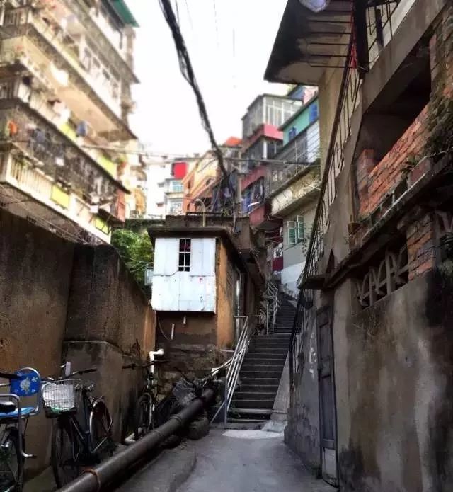 大朗电脑绣花供应厂家_新明英刺绣_肩章_衣服_网布_毛线_特种