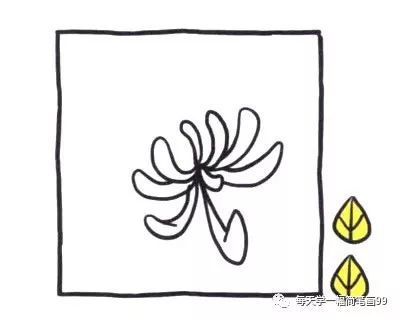 每天学一幅简笔画-菊花简笔画画法