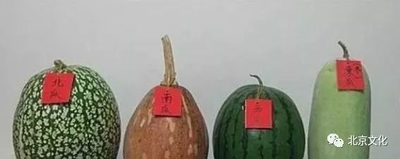 冬瓜,西瓜,南瓜,为什么没有北瓜?其实北瓜我们早就吃过