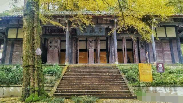 都江堰景区旁,一个小众的银杏赏秋地,灵岩山的灵岩寺.