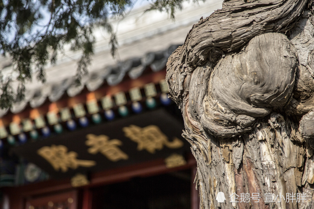 法源寺,北京最古老的名刹,寺内青铜观音造像有自然流出的甘露