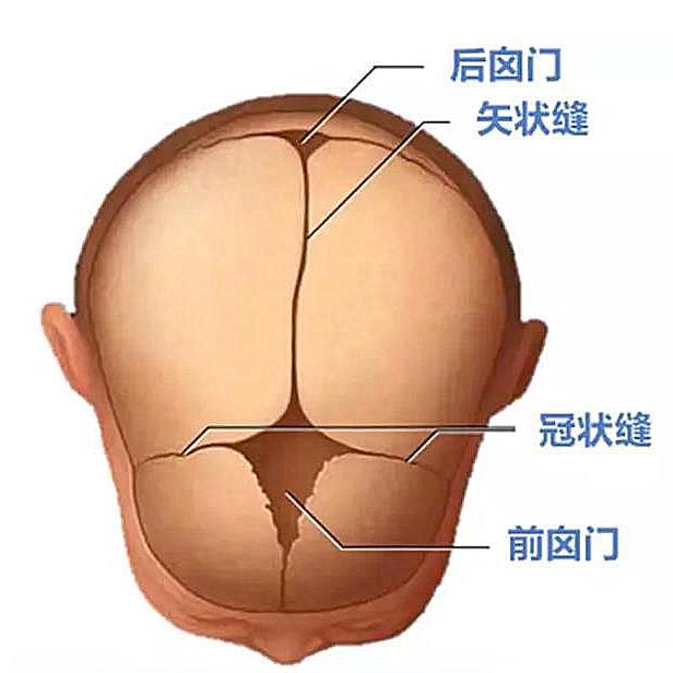 "宝宝囟门不能碰?这些知识了解一下
