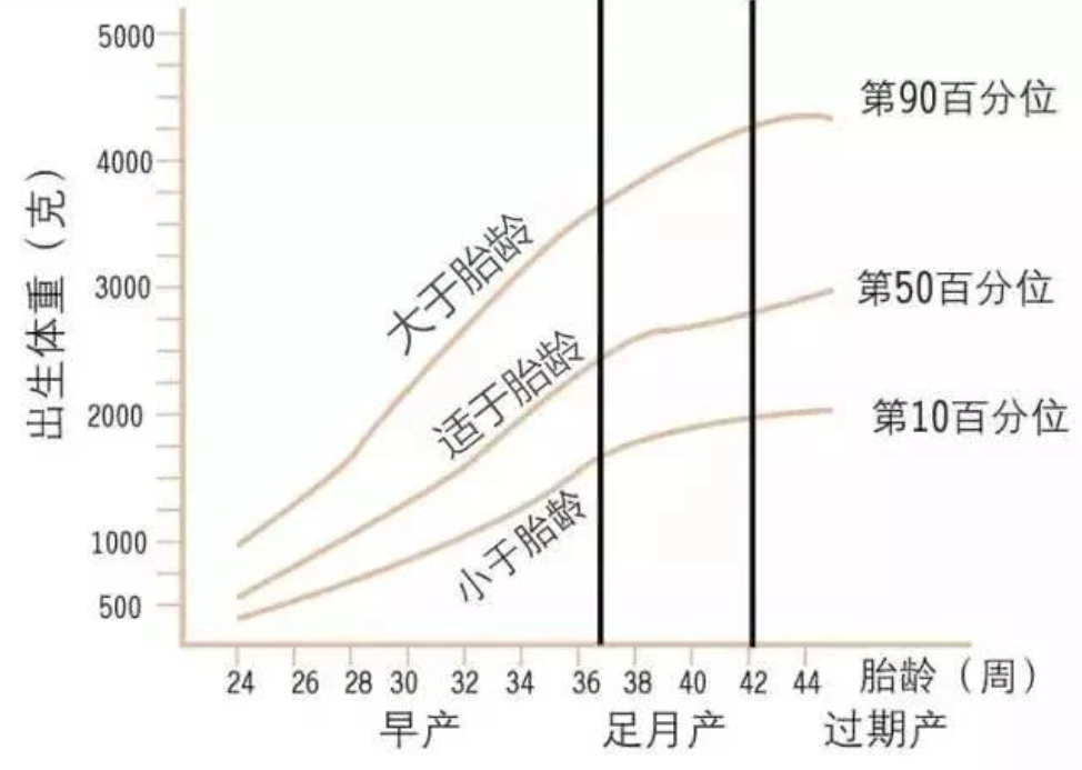 (新生儿出生体重(g)与胎龄关系曲线图)
