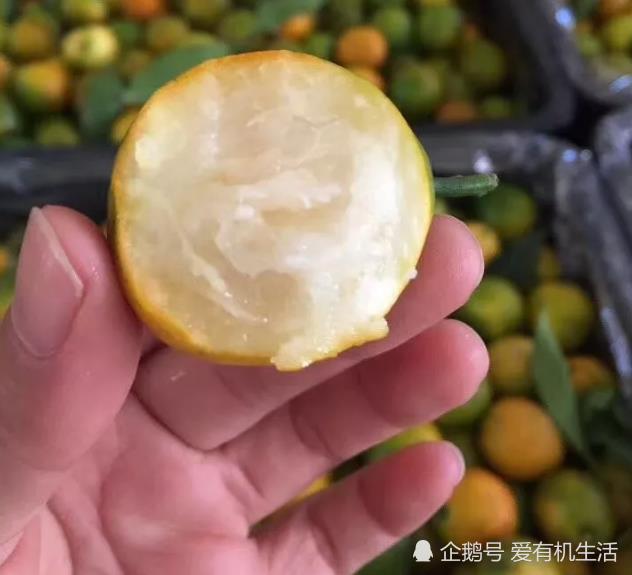 还将金桔对半加上,切开几片柠檬,做一杯柠檬金桔价位茶,生津止渴长颈鹿墙漆那个蜂蜜合适图片