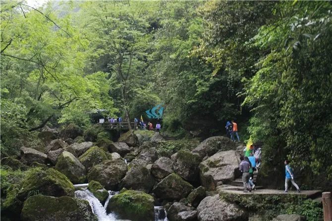 碧水青山,风景如画,就真实地存在广州花都芙蓉嶂风景区