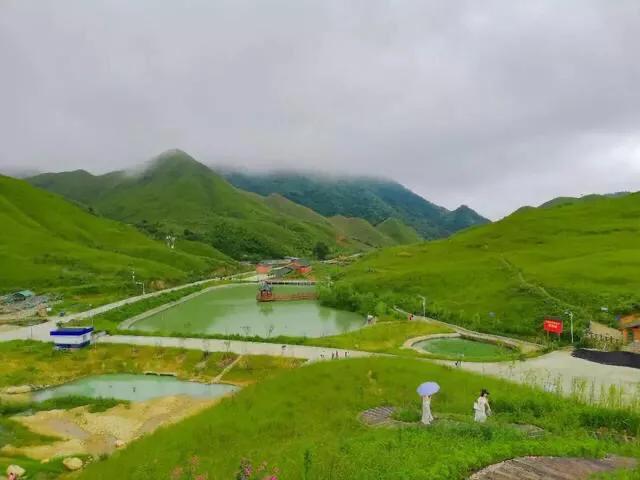 福建最大草场—柘荣鸳鸯头草场